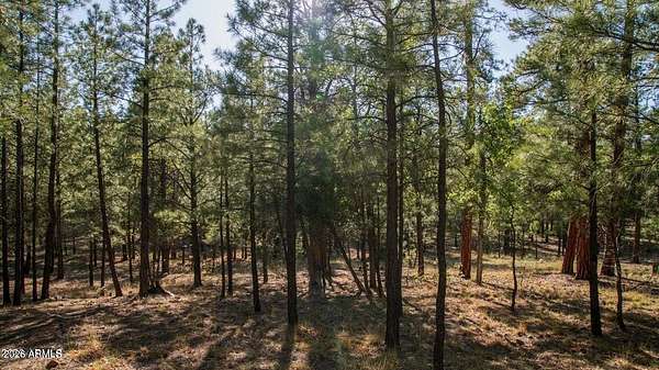 0.78 Acres of Residential Land for Sale in Happy Jack, Arizona