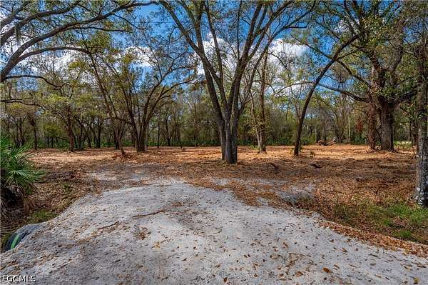 30 Acres of Recreational & Residential Land for Auction in Arcadia, Florida