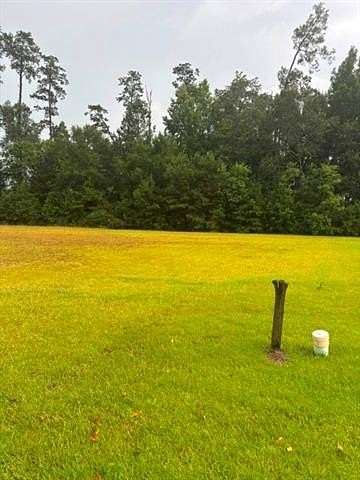 0.38 Acres of Residential Land for Sale in Hammond, Louisiana