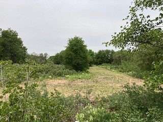 5 Acres of Residential Land for Sale in Hawley, Texas