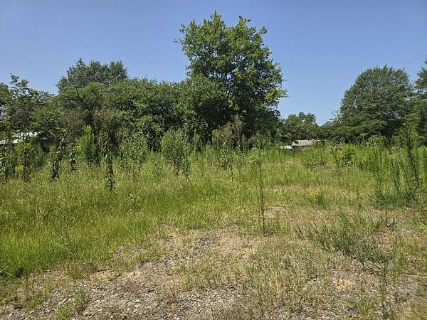 0.24 Acres of Residential Land for Sale in Linden, Texas