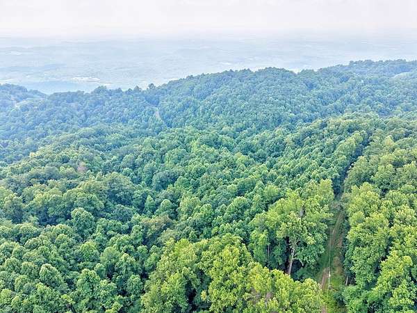8.9 Acres of Residential Land for Sale in Fancy Gap, Virginia