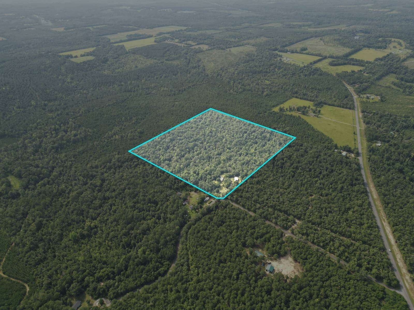 40 Acres of Land with Home for Sale in Chattahoochee, Florida