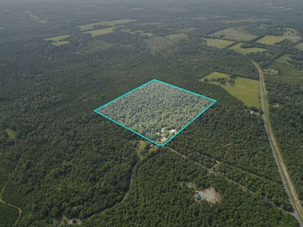 40 Acres of Land with Home for Sale in Chattahoochee, Florida