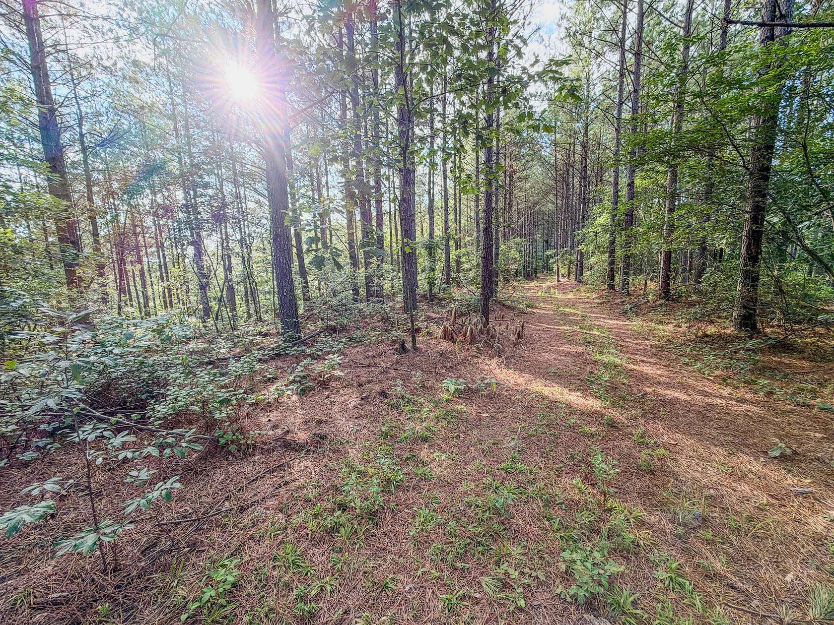 40 Acres of Land for Sale in Hohenwald, Tennessee