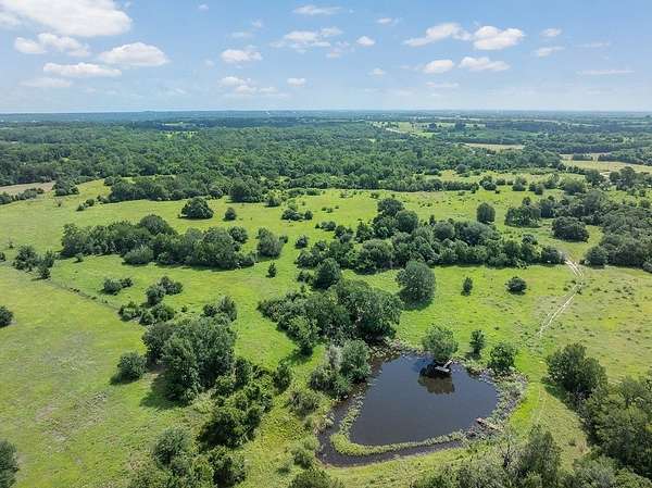 53.1 Acres of Land with Home for Sale in Brenham, Texas