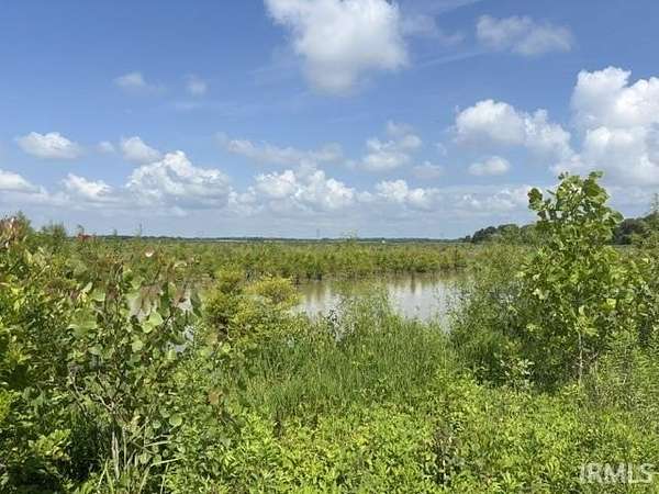 40 Acres of Agricultural Land for Sale in Wheatland, Indiana