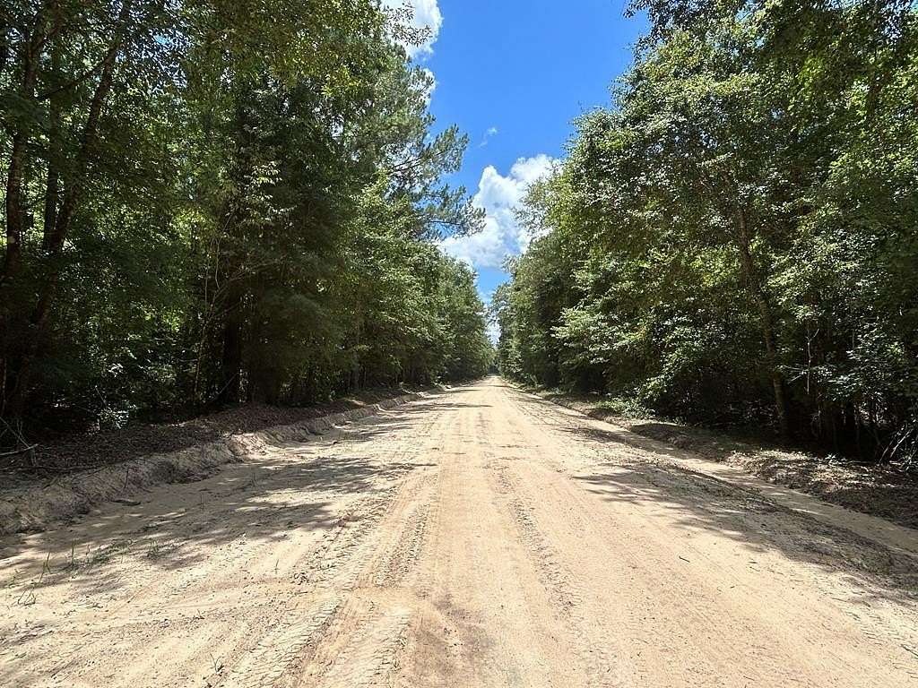 16 Acres of Recreational & Residential Land for Sale in Cottonwood, Alabama