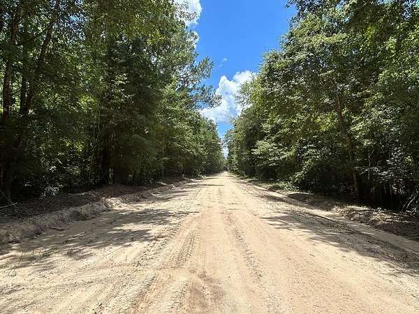 16 Acres of Recreational & Residential Land for Sale in Cottonwood, Alabama