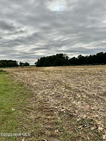 22 Acres of Recreational & Residential Land for Sale in Hallsboro, North Carolina