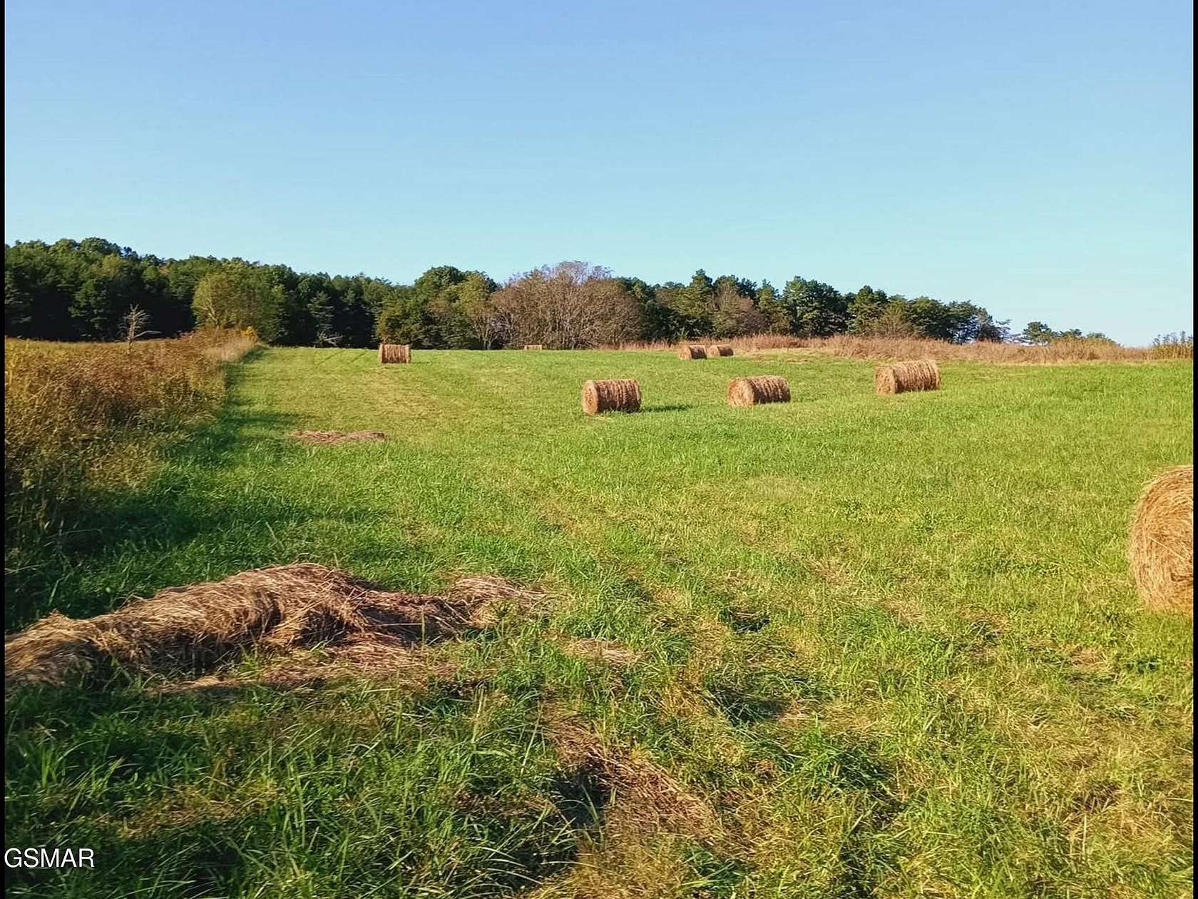 54.3 Acres of Land for Sale in Kodak, Tennessee