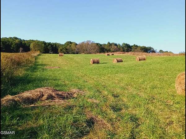 54.3 Acres of Land for Sale in Kodak, Tennessee