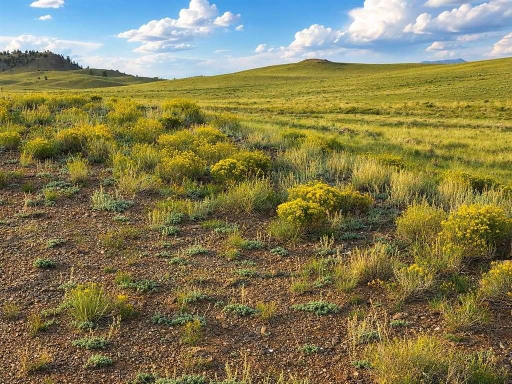 5 Acres of Land for Sale in Hartsel, Colorado