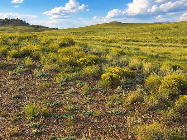 5 Acres of Land for Sale in Hartsel, Colorado