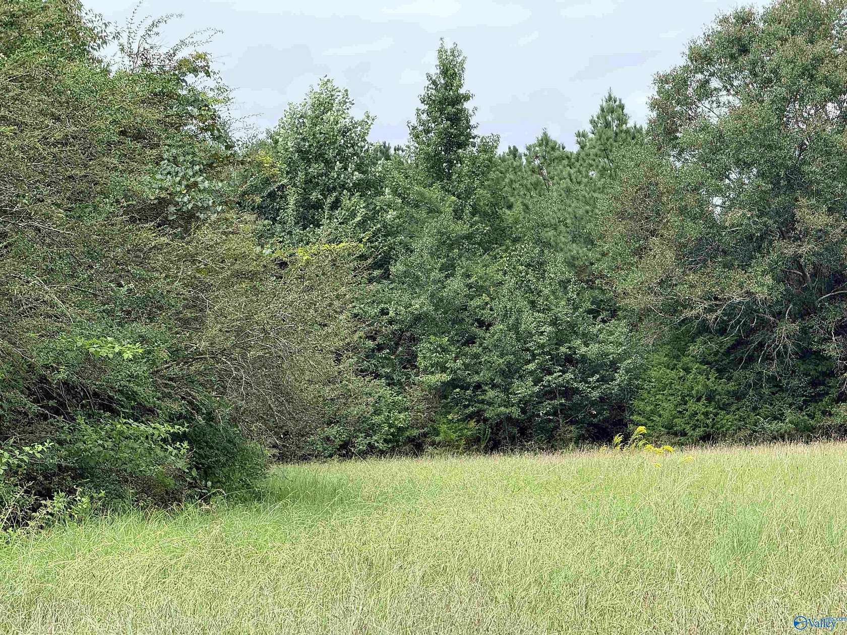 10 Acres of Land for Sale in New Market, Alabama