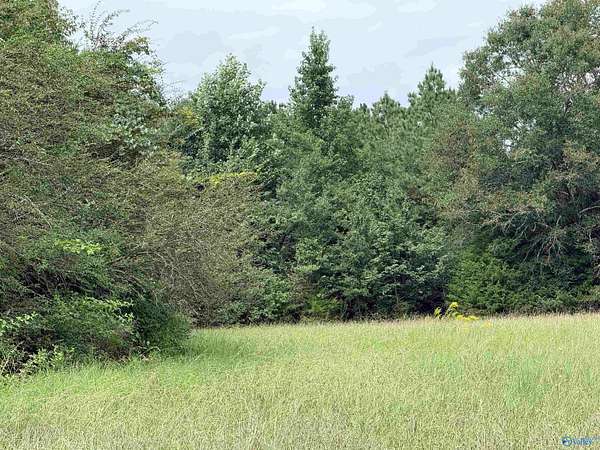 10 Acres of Land for Sale in New Market, Alabama