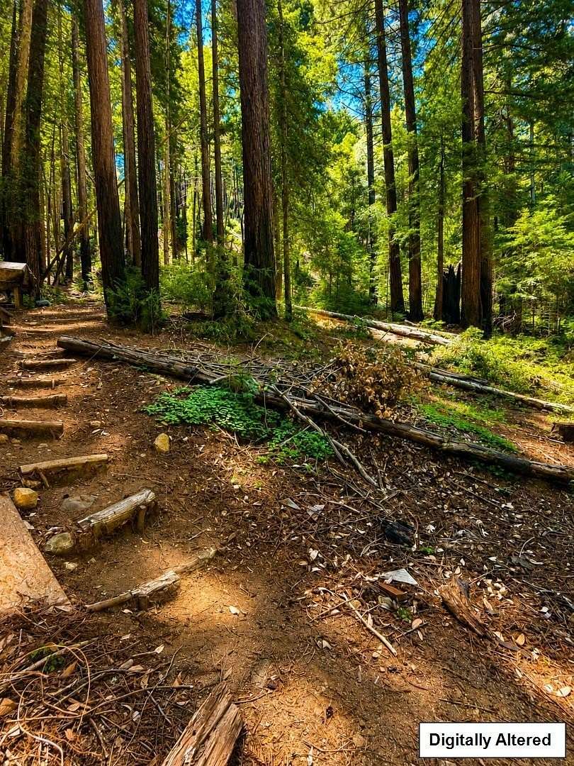0.35 Acres of Residential Land for Sale in Brookdale, California