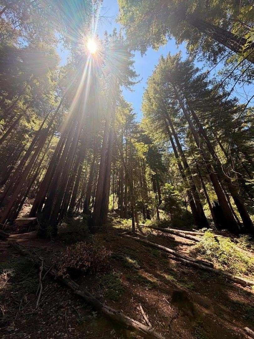 0.35 Acres of Residential Land for Sale in Brookdale, California