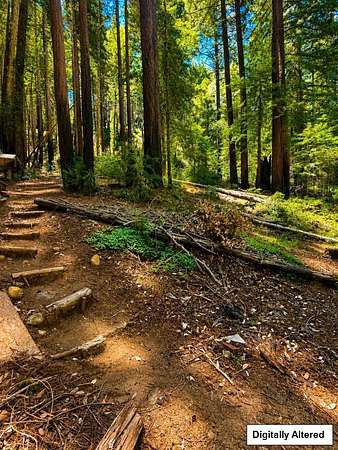 0.35 Acres of Residential Land for Sale in Brookdale, California