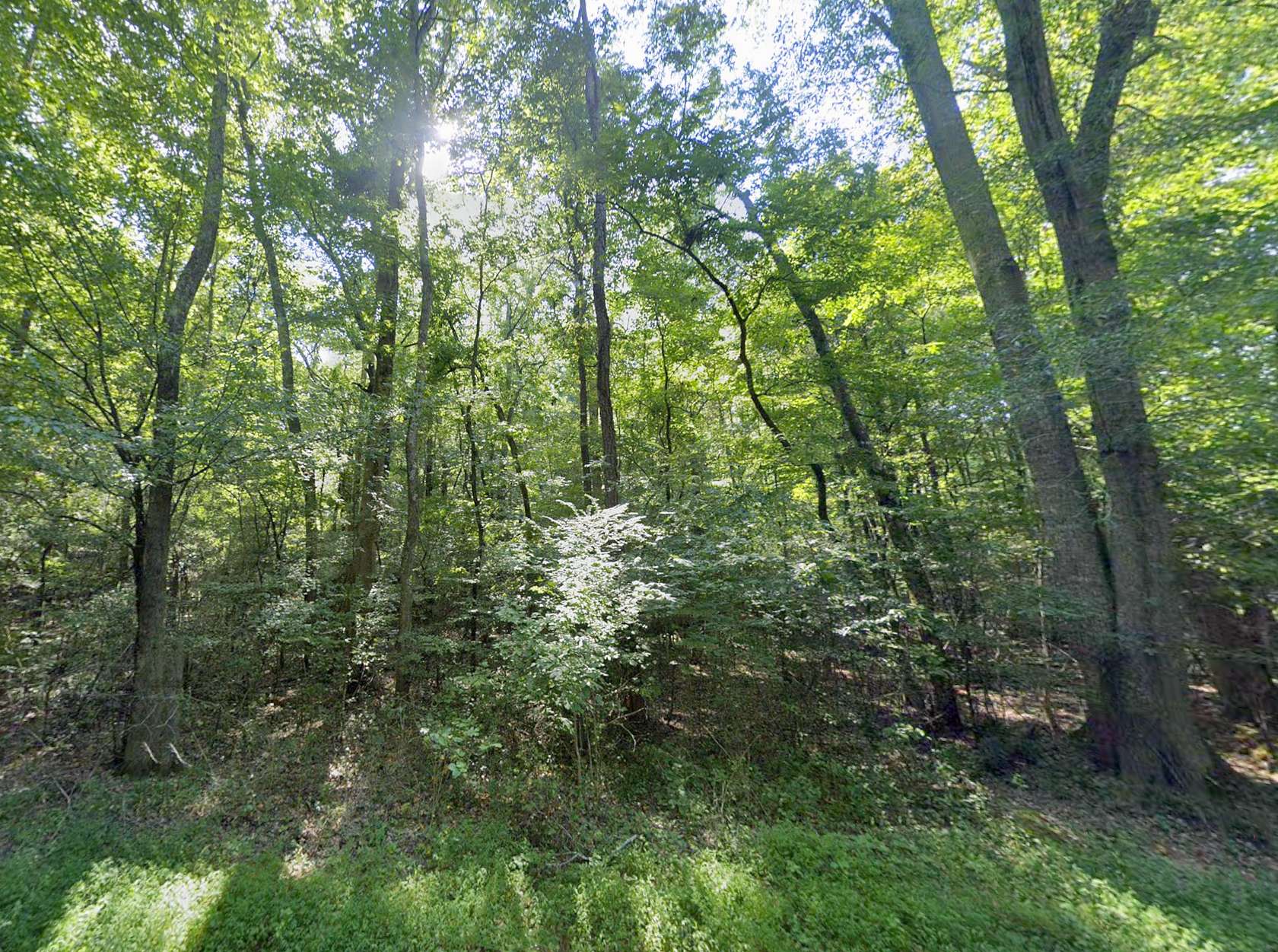 1 Acre of Residential Land for Sale in Grant, Alabama