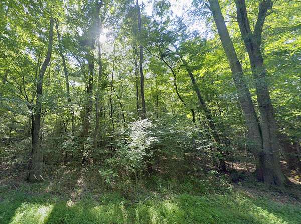 1 Acre of Residential Land for Sale in Grant, Alabama