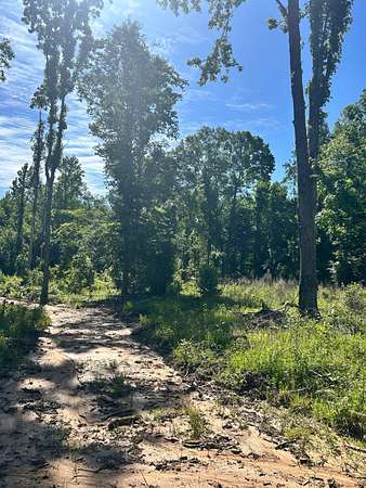 182 Acres of Land for Sale in Hazlehurst, Mississippi