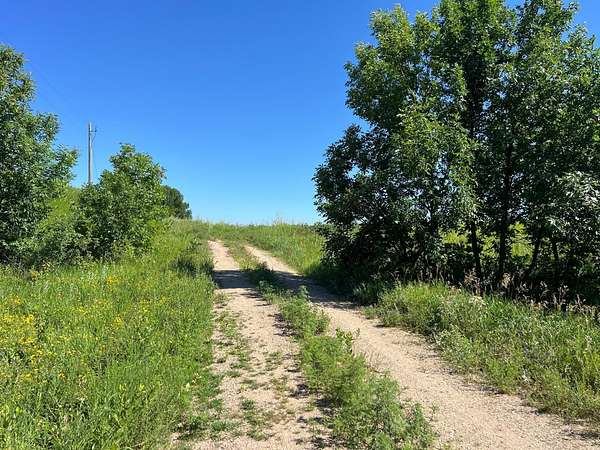 31.8 Acres of Land for Sale in Ashby, Minnesota