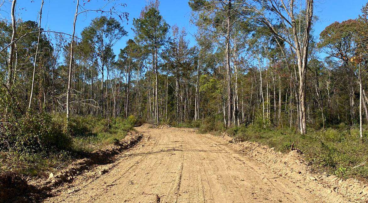 385 Acres of Recreational Land for Sale in Carthage, Mississippi