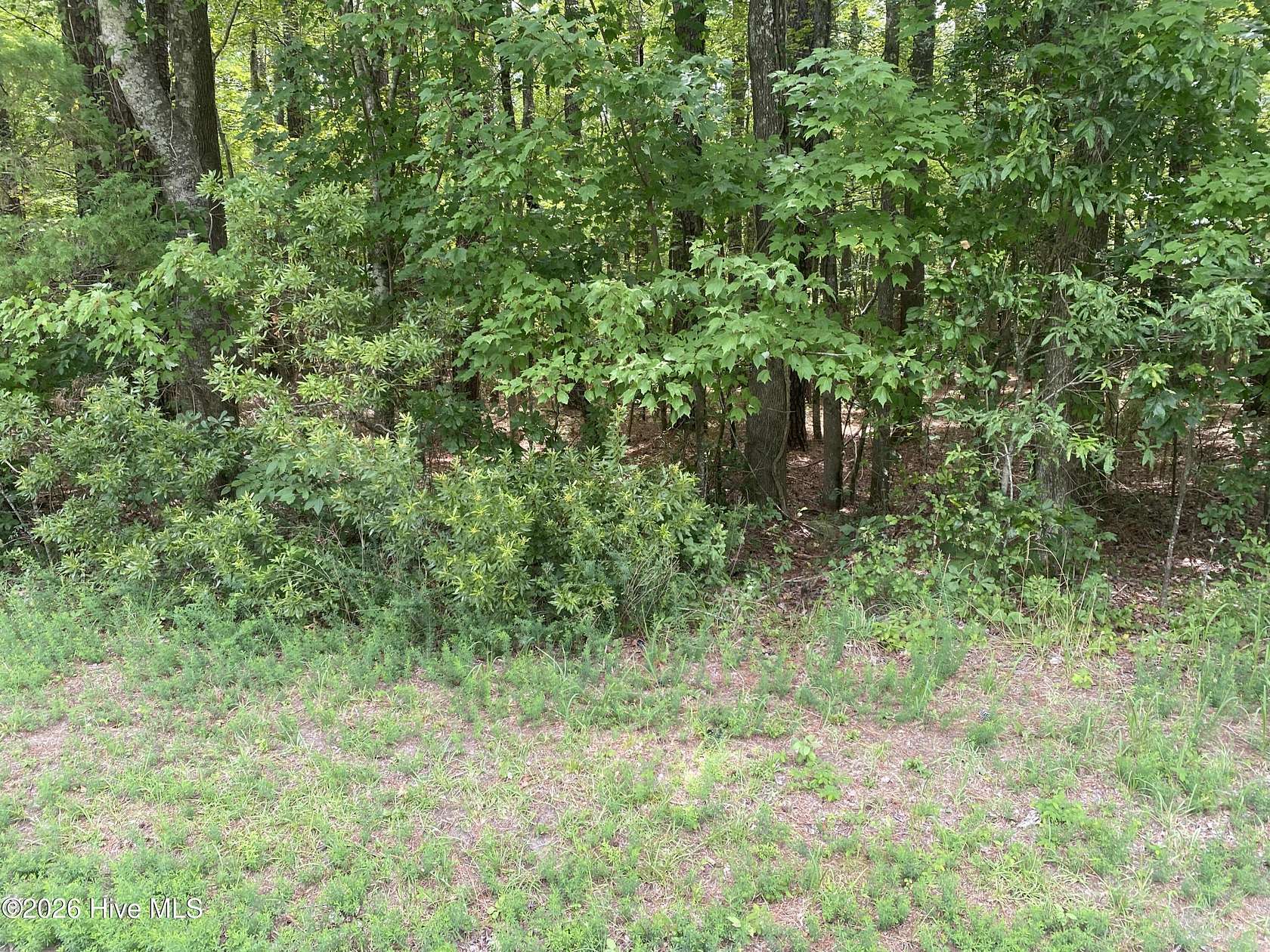 0.47 Acres of Residential Land for Sale in Blounts Creek, North Carolina