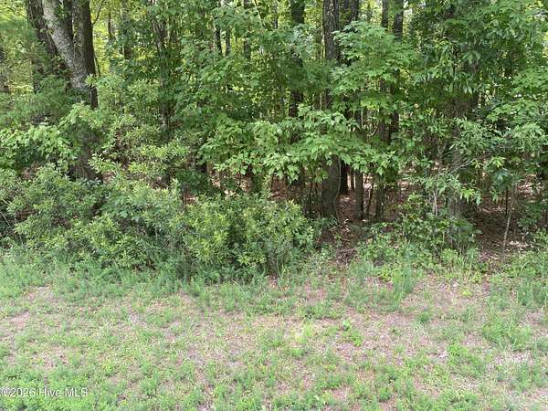 0.47 Acres of Residential Land for Sale in Blounts Creek, North Carolina