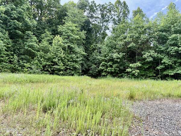 424 Acres of Recreational Land for Auction in Oneida, Tennessee