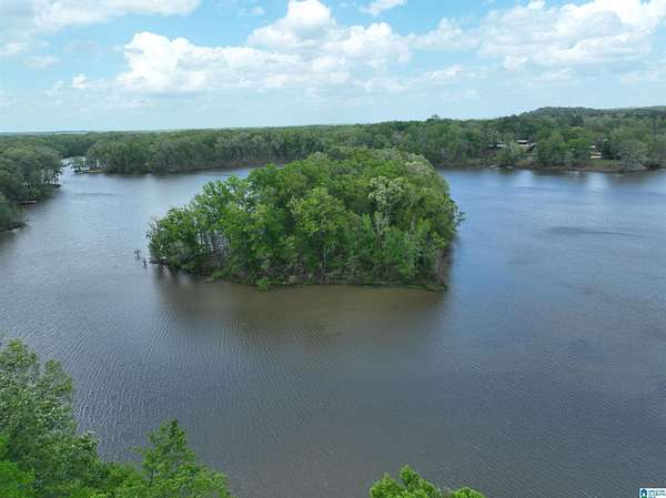4.7 Acres of Land for Sale in Minter, Alabama