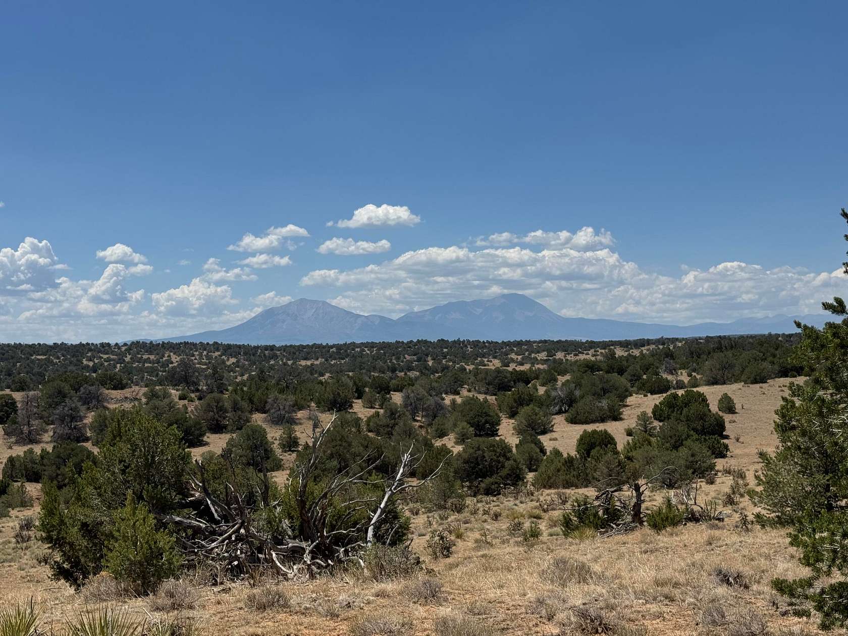40 Acres of Land for Sale in Walsenburg, Colorado