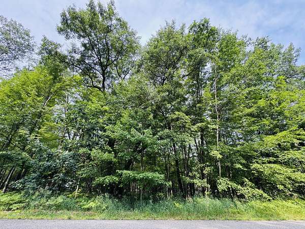 0.3 Acres of Residential Land for Sale in Houghton Lake, Michigan