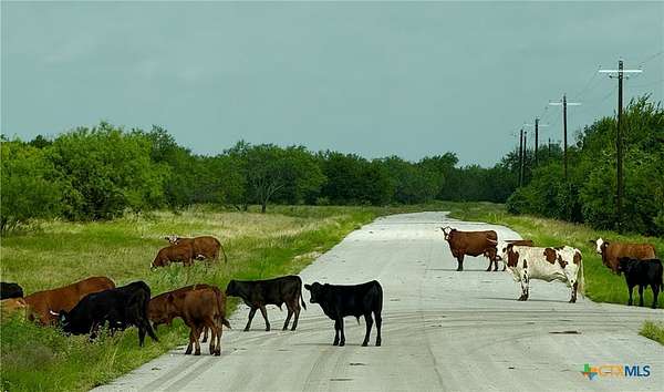 5.2 Acres of Residential Land for Sale in Copperas Cove, Texas