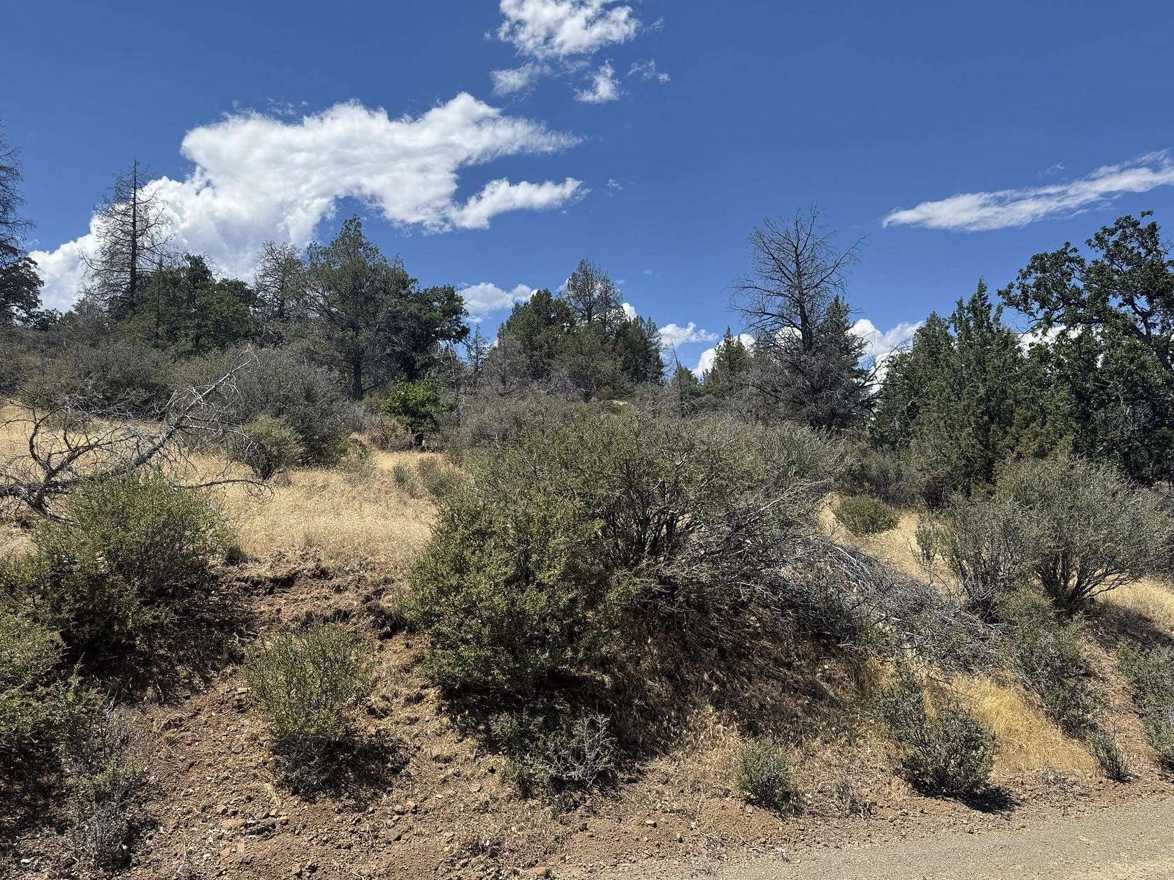 2.9 Acres of Land for Sale in Hornbrook, California