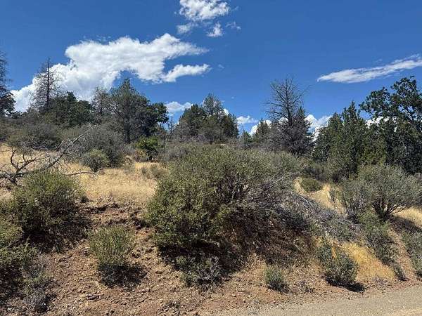 2.9 Acres of Land for Sale in Hornbrook, California