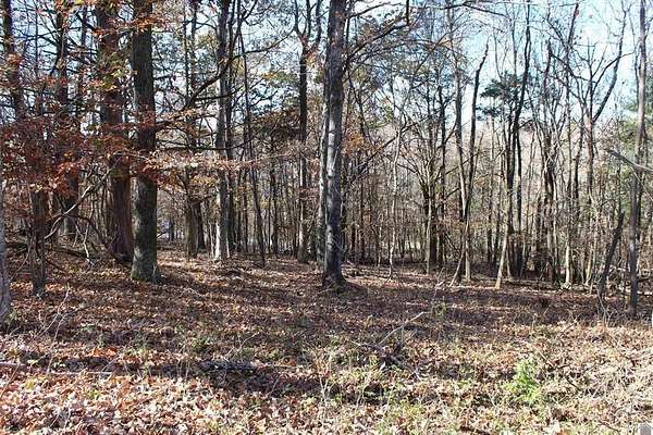 0.5 Acres of Residential Land for Sale in Eddyville, Kentucky