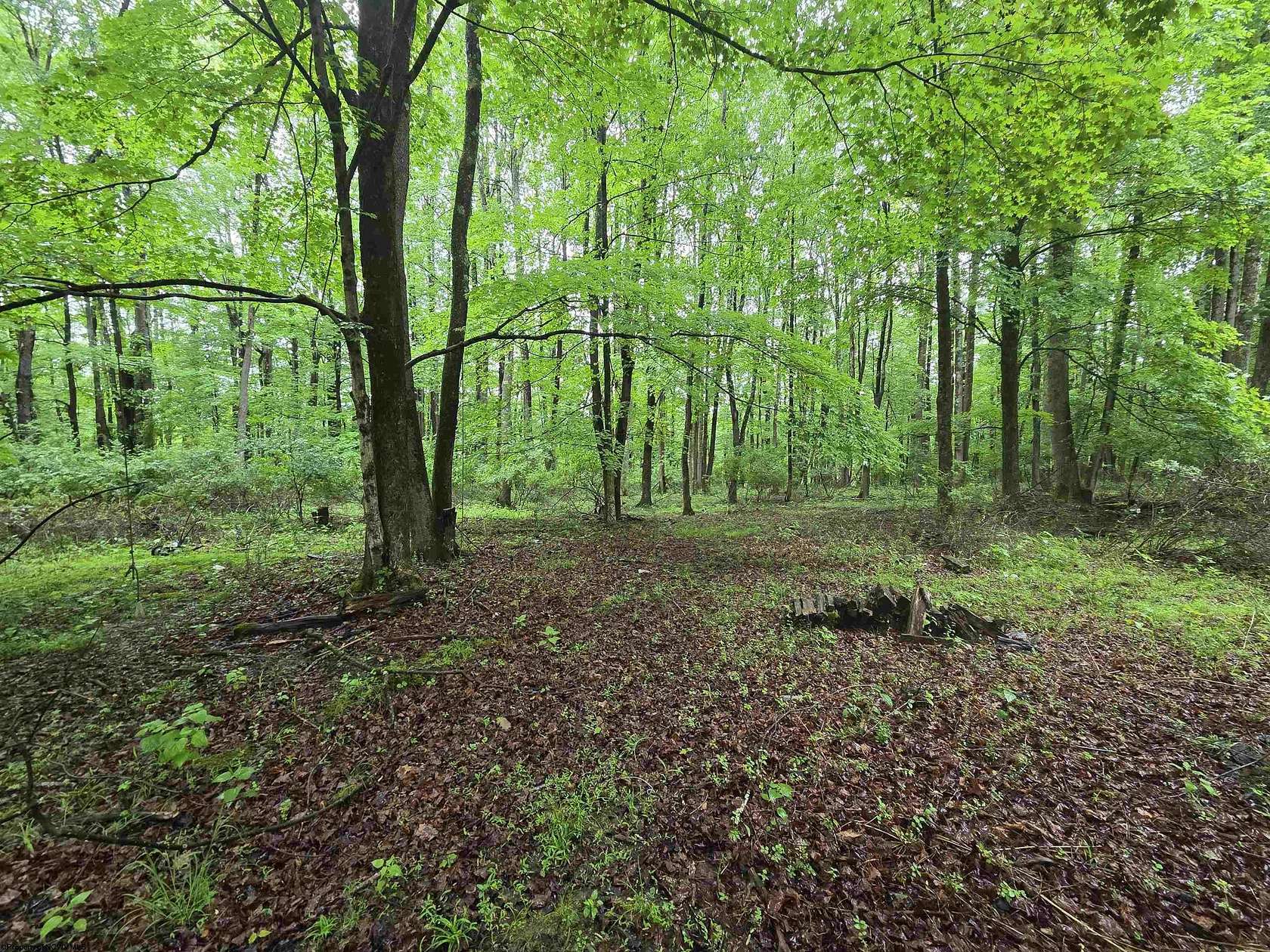 9 Acres of Residential Land for Sale in Parsons, West Virginia