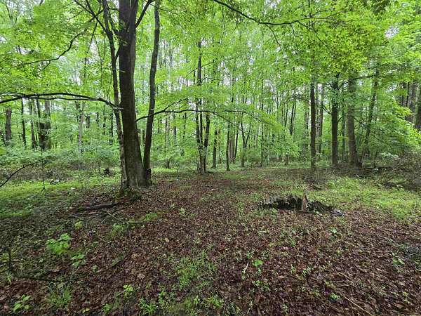 9 Acres of Residential Land for Sale in Parsons, West Virginia