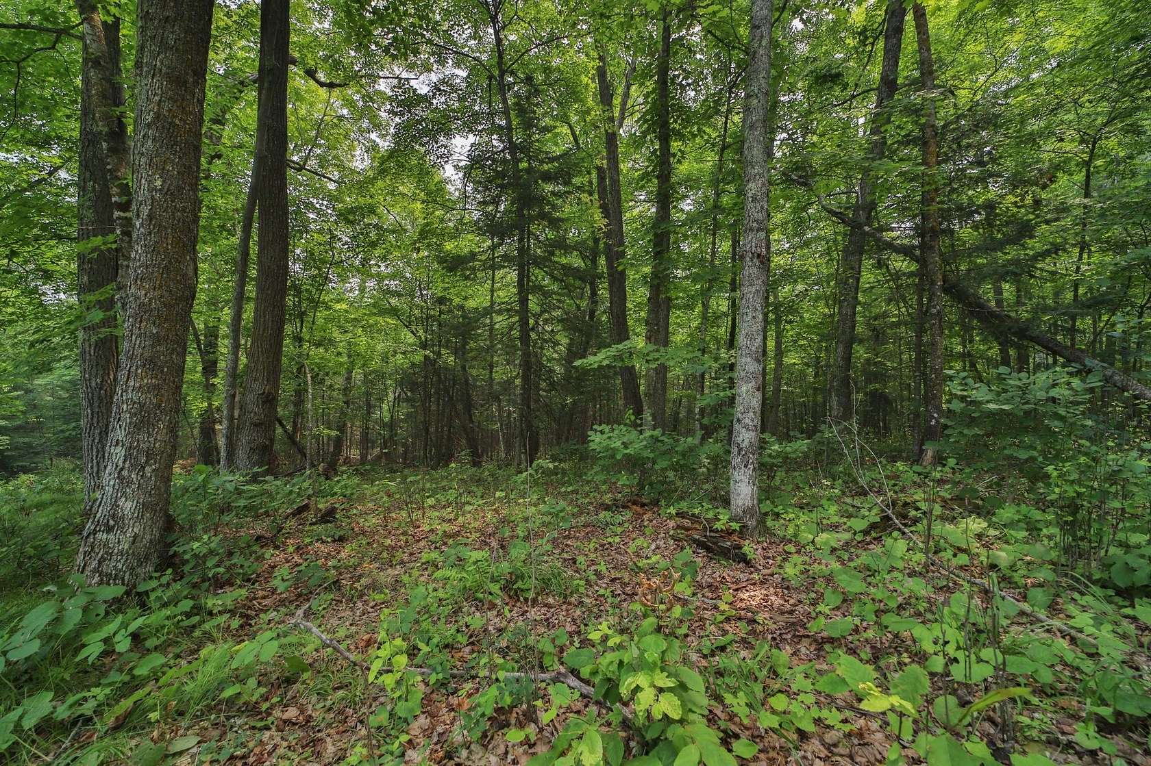 0.92 Acres of Residential Land for Sale in McGregor, Minnesota