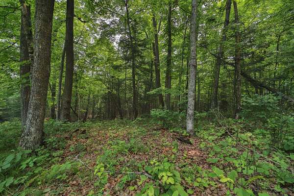0.92 Acres of Residential Land for Sale in McGregor, Minnesota
