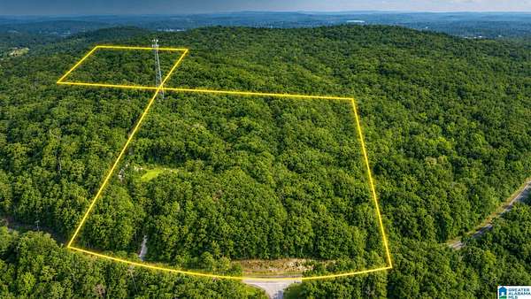 36.1 Acres of Recreational & Residential Land for Sale in Talladega, Alabama