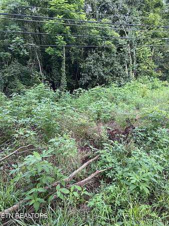0.44 Acres of Residential Land for Sale in Knoxville, Tennessee