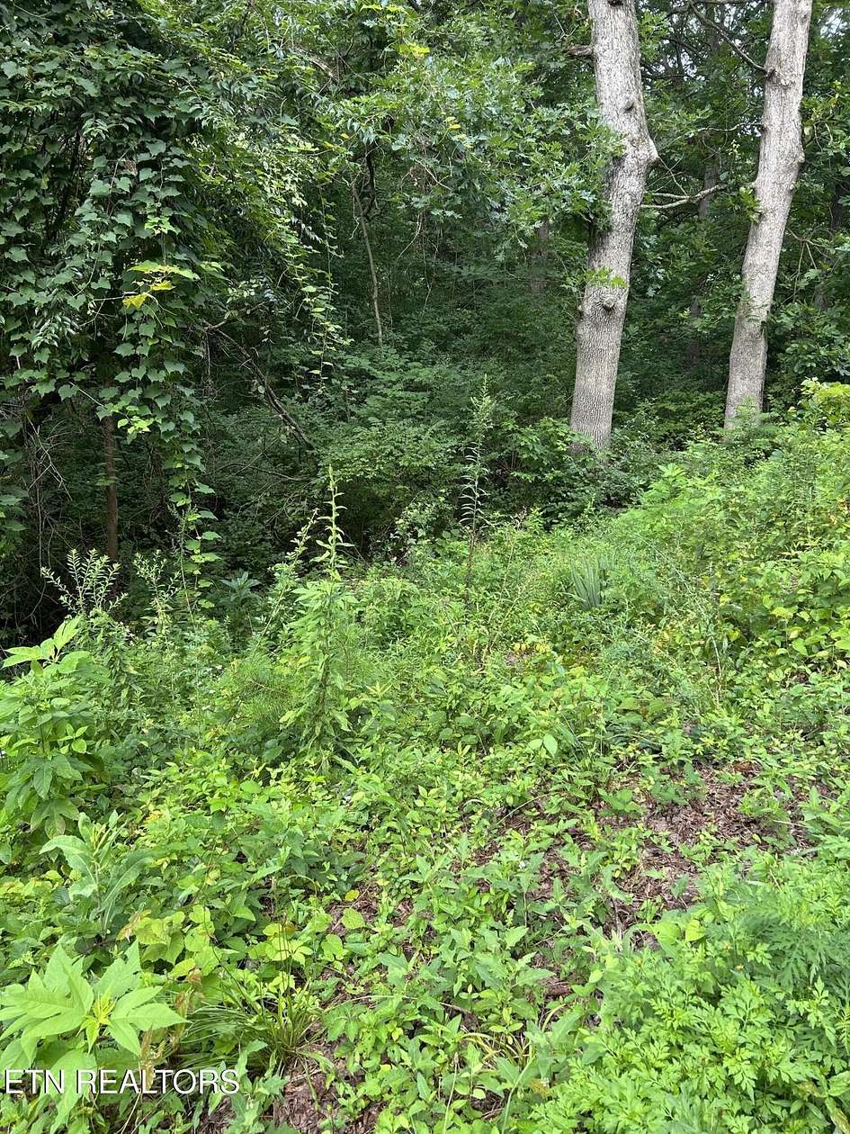 0.52 Acres of Residential Land for Sale in Knoxville, Tennessee