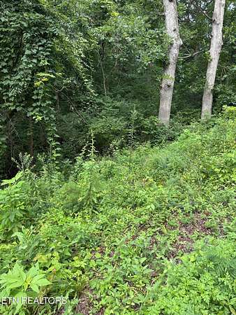 0.52 Acres of Residential Land for Sale in Knoxville, Tennessee