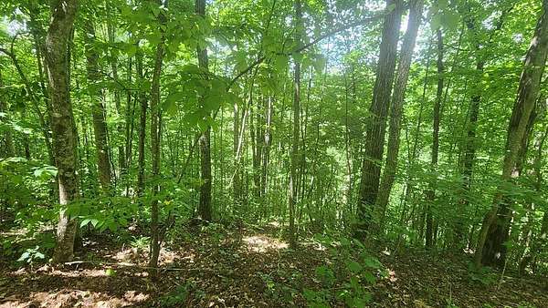 1.83 Acres of Land for Sale in Hiawassee, Georgia