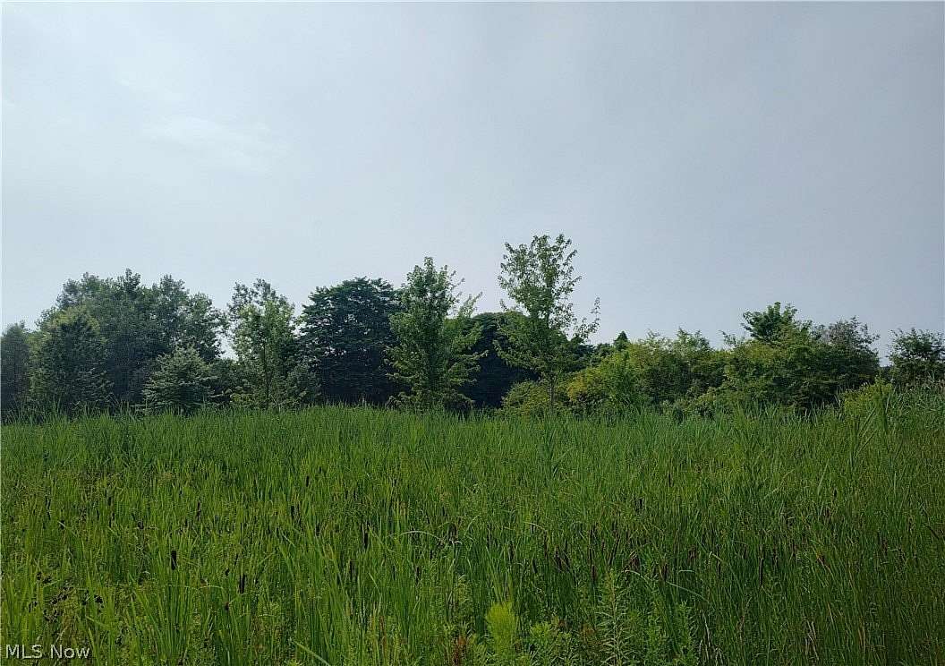 1 Acre of Residential Land for Sale in Madison, Ohio