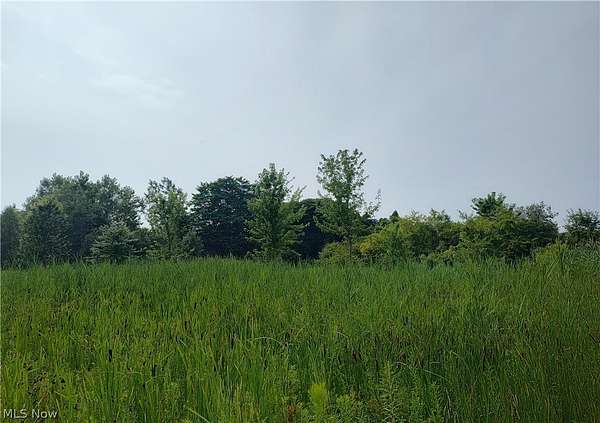 1 Acre of Residential Land for Sale in Madison, Ohio