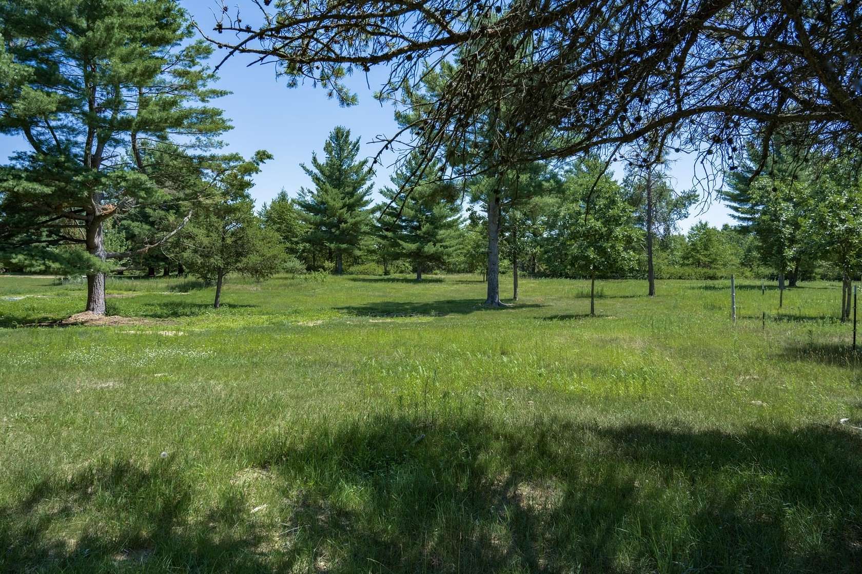 5 Acres of Land for Sale in Hancock, Wisconsin